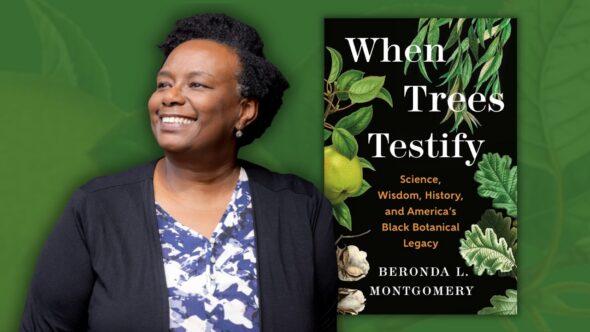 Author, Beronda Montgomery, with short black hair, and a big smile on her face, wearing a blue and white button up blouse and navy cardigan. Green background with leaves. Book cover of When Trees Testify by Beronda Montgomery. 